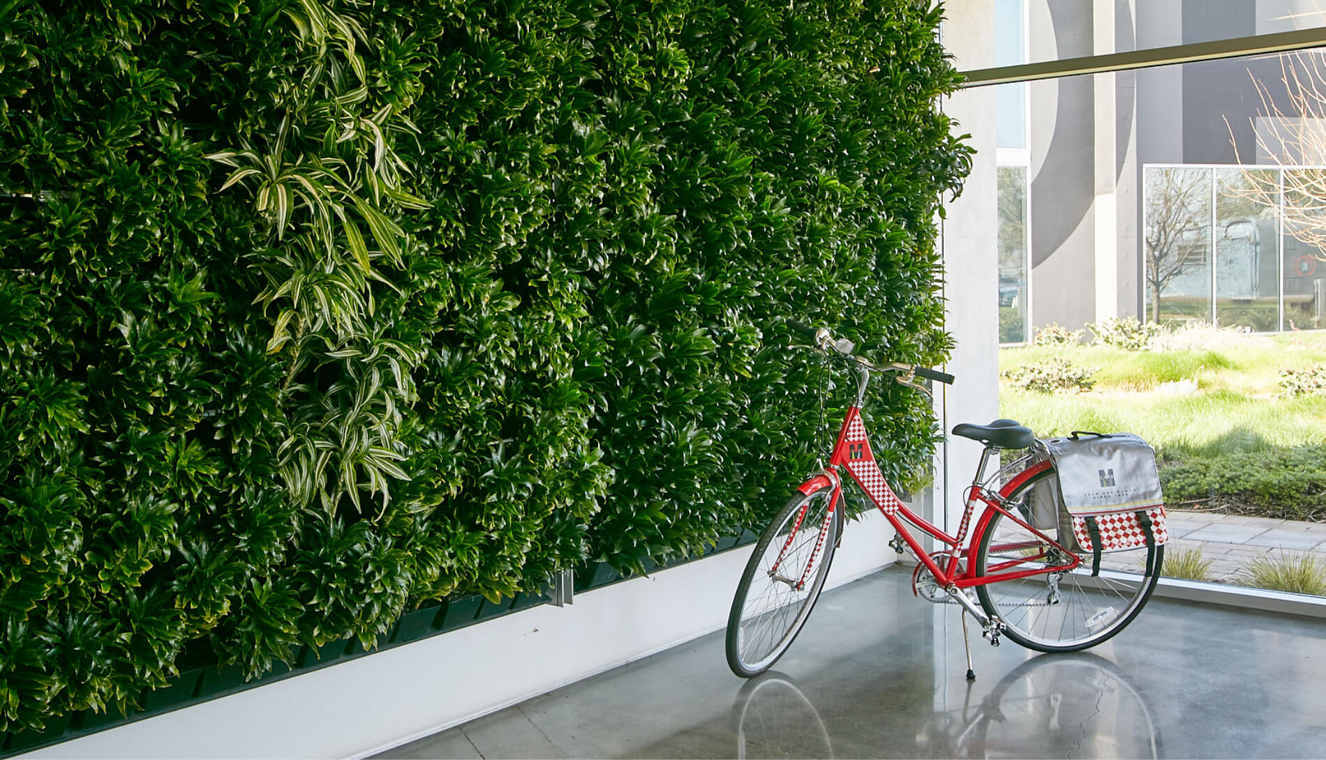 Green plant wall inside office with a bicycle parked on floor